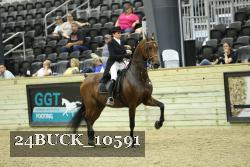 24BUCK_10591 thumbnail