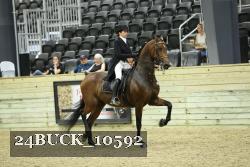 24BUCK_10592 thumbnail