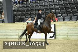 24BUCK_10594 thumbnail