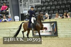 24BUCK_10595 thumbnail