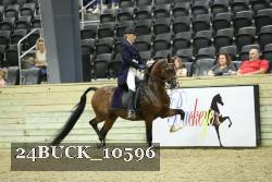 24BUCK_10596 thumbnail
