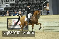 24BUCK_10600 thumbnail
