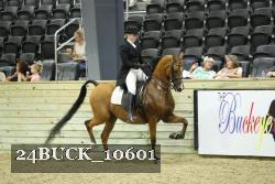 24BUCK_10601 thumbnail
