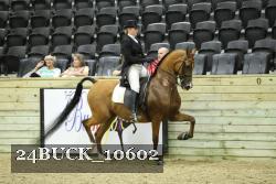 24BUCK_10602 thumbnail