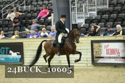 24BUCK_10605 thumbnail