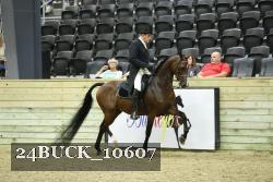 24BUCK_10607 thumbnail