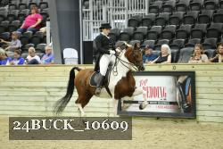 24BUCK_10609 thumbnail