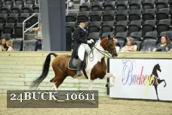 24BUCK_10611 thumbnail