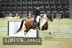 24BUCK_10612 thumbnail