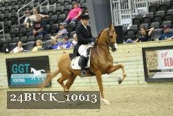 24BUCK_10613 thumbnail