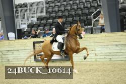 24BUCK_10614 thumbnail