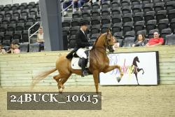 24BUCK_10615 thumbnail