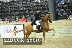 24BUCK_10616 thumbnail
