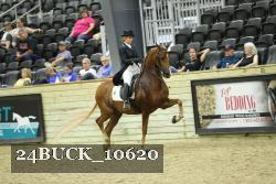24BUCK_10620 thumbnail