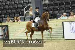 24BUCK_10621 thumbnail