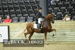 24BUCK_10622 thumbnail