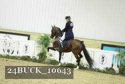24BUCK_10643 thumbnail
