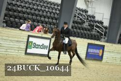 24BUCK_10644 thumbnail