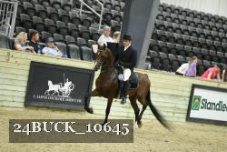 24BUCK_10645 thumbnail