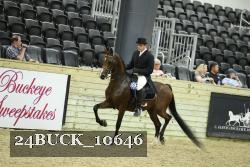 24BUCK_10646 thumbnail