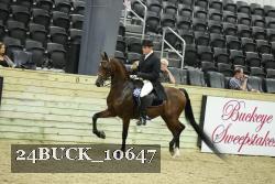 24BUCK_10647 thumbnail