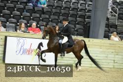 24BUCK_10650 thumbnail