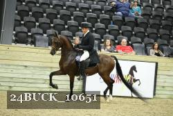 24BUCK_10651 thumbnail