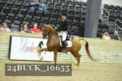 24BUCK_10655 thumbnail