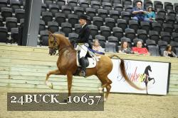 24BUCK_10657 thumbnail