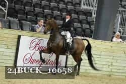 24BUCK_10658 thumbnail