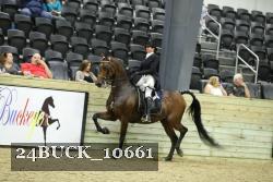 24BUCK_10661 thumbnail