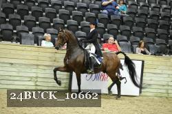 24BUCK_10662 thumbnail