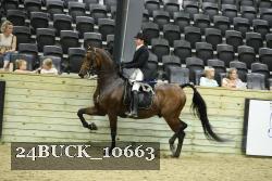24BUCK_10663 thumbnail