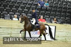24BUCK_10667 thumbnail