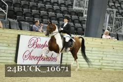 24BUCK_10671 thumbnail