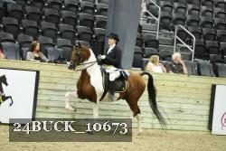 24BUCK_10673 thumbnail