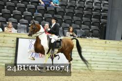 24BUCK_10674 thumbnail