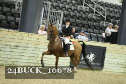 24BUCK_10678 thumbnail