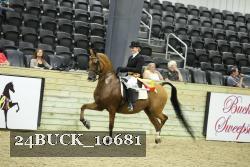24BUCK_10681 thumbnail