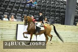 24BUCK_10682 thumbnail