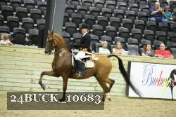 24BUCK_10683 thumbnail