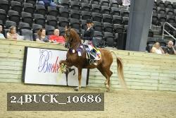 24BUCK_10686 thumbnail