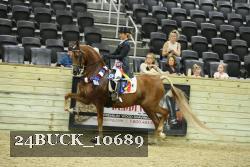 24BUCK_10689 thumbnail