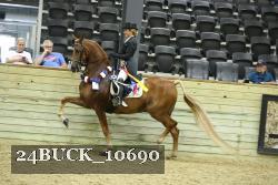24BUCK_10690 thumbnail