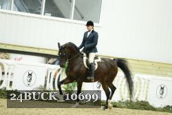 24BUCK_10699 thumbnail