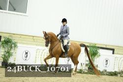 24BUCK_10701 thumbnail