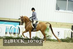 24BUCK_10703 thumbnail