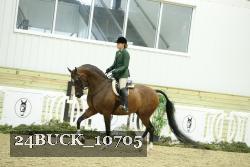24BUCK_10705 thumbnail