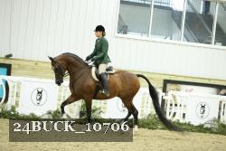 24BUCK_10706 thumbnail