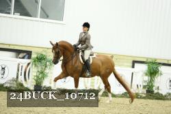 24BUCK_10712 thumbnail